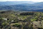 Plac, Pirot - Bazovik | Prodaja · 1500m² · 1.234€
