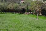 Plac, Pirot - Bazovik | Prodaja · 1500m² · 1.234€