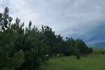 Plac, Pirot - Pokrevenik | Prodaja · 1934m² · 10.000€