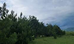 Plac, Pirot - Pokrevenik | Prodaja · 1934m² · 10.000€