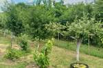 Kuća, Beograd | Prodaja · 90m² · 99.000€