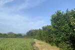 Plac, Veliko Gradište | Prodaja · 8100m² · 51.000€