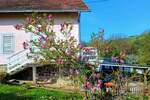 Kuća, Sremska Kamenica | Prodaja · 197m² · 220.000€