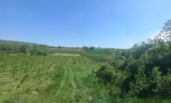 Plac, Irig - Irig-Hopovo | Prodaja · 4300m² · 138.000€