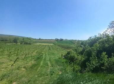 Plac, Irig - Irig-Hopovo | Prodaja · 4300m² · 138.000€