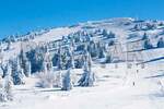 Plac, Kopaonik - Treska | Prodaja · 300m² · 24.000€