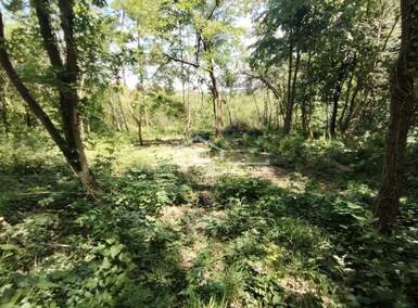Plac, Beograd - Rogača | Prodaja · 30.000€