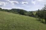 Plac, Zlatibor - Šljivovica | Prodaja · 5977m² · 61.900€