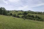 Plac, Zlatibor - Šljivovica | Prodaja · 5977m² · 61.900€