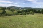 Plac, Zlatibor - Šljivovica | Prodaja · 5977m² · 61.900€