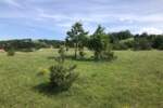 Plac, Zlatibor - Šljivovica | Prodaja · 5977m² · 61.900€