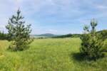 Plac, Zlatibor - Šljivovica | Prodaja · 5977m² · 61.900€