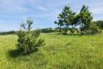 Plac, Zlatibor - Šljivovica | Prodaja · 5977m² · 61.900€