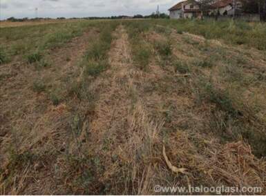 Plac, Topola | Prodaja · 18000m² · 20.000€