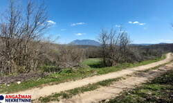 Plac, Boljevac - Krivi Vir | Prodaja · 13614m² · 4.000€