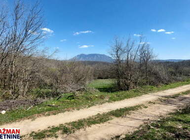 Plac, Boljevac - Krivi Vir | Prodaja · 13614m² · 4.000€