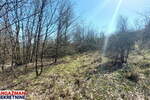 Plac, Boljevac - Krivi Vir | Prodaja · 13614m² · 4.000€