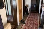 Kuća, Beograd | Prodaja · 200m² · 82.000€