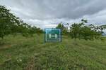 Plac, Paraćin - Stubica | Prodaja · 40.000€