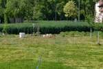 Plac, Ruma | Prodaja · 1500m² · 1€
