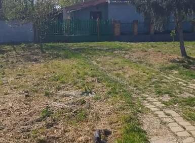 Kuća, Kikinda | Prodaja · 500m² · 21.000€
