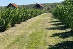 Plac, Vladimirci | Prodaja · 5000m² · 13.500€