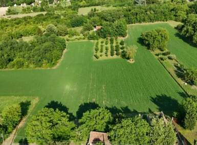 Plac, Inđija - Janda | Prodaja · 7700m² · 153.230€