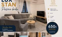 Dvosoban stan, Beograd - Pašino brdo | Izdavanje · 45m² · 650€