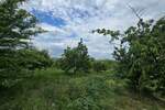 Plac, Beograd - Ritopek | Prodaja · 1150m² · 40.250€