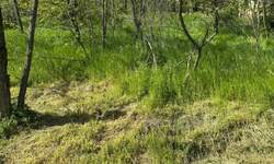 Plac, Vršac | Prodaja · 300m² · 20.500€