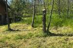 Plac, Vršac | Prodaja · 300m² · 20.500€