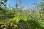 Plac, Vršac | Prodaja · 300m² · 20.500€