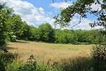 Plac, Irig - Fruska Gora | Prodaja · 14200m² · 149.000€
