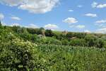 Plac, Irig - Fruska Gora | Prodaja · 14200m² · 149.000€
