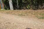 Plac, Irig - Fruska Gora | Prodaja · 14200m² · 149.000€