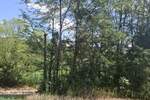Plac, Irig - Fruska Gora | Prodaja · 14200m² · 149.000€