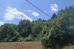 Plac, Irig - Fruska Gora | Prodaja · 14200m² · 149.000€