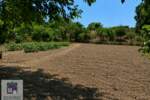 Plac, Bač | Prodaja · 12.000€