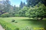 Kuća, Beograd - Dedinje | Izdavanje · 270m² · 4.200€