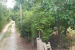 Plac, Beograd - Grocka | Prodaja · 39.000€