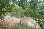 Plac, Beograd - Grocka | Prodaja · 39.000€