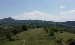 Plac, Kosjerić - Rosići | Prodaja · 800m² · 11.200€