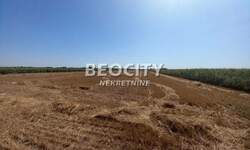 Plac, Stara Pazova - Krnješevci | Prodaja · 13000m² · 700.000€