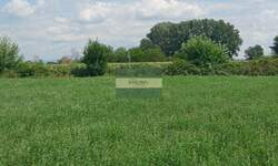 Plac, Jagodina - Novo Lanište | Prodaja · 65.000€