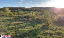 Plac, Zaječar - Lasovo | Prodaja · 28452m² · 5.690€