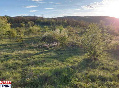 Plac, Zaječar - Lasovo | Prodaja · 28452m² · 5.690€