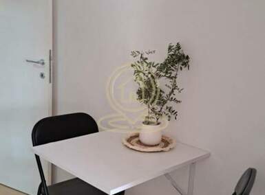 Garsonjera, Novi Sad | Izdavanje · 22m² · 250€