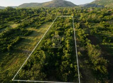 Plac, Niš - Donji Matejevac | Prodaja · 2273m² · 15.000€