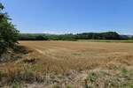 Plac, Topola | Prodaja · 9300m² · 180€