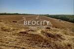 Plac, Stara Pazova - Krnješevci | Prodaja · 13000m² · 700.000€